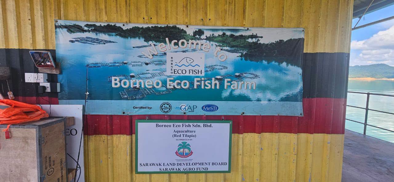 Lawatan Kerja ke Borneo Eco Fish Farm, Batang Ai, Lubok Antu, Sarawak